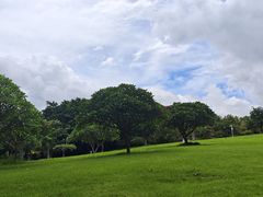 -东莞植物园