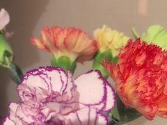 -小厨娘淮扬菜(河西奥美大厦店)