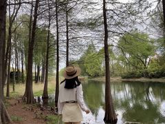 -贡湖湾湿地公园
