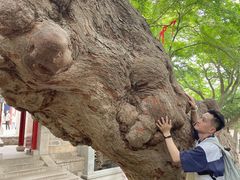 -青岛崂山太清宫