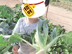 -任达丞国农庄(任达山庄店)