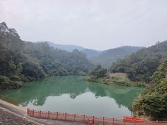 -佛山市三水区大南山森林公园