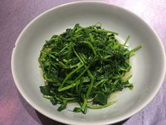 清炒豌豆苗-鸭王烤鸭店(三里河店)