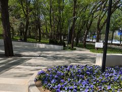 -元大都城垣遗址公园