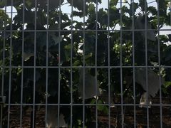 -大连北马山庄