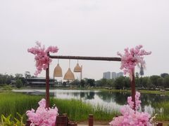 -桂溪生态公园