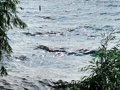 -呈贡滇池生态湿地公园