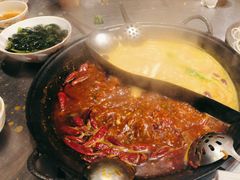 -朱光玉火锅馆(正弘城店)