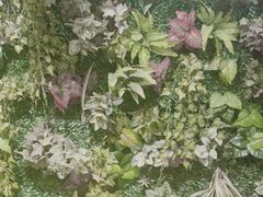 -丽清大别山鹅火锅(潜山路店)