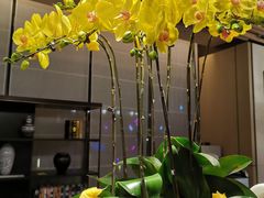-上海佘山世茂艾美酒店