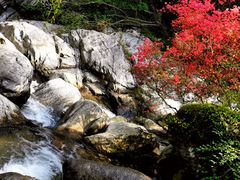 -岳西天峡风景区