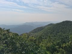 -长沙黑麋峰国家森林公园
