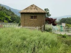 -塔川景区