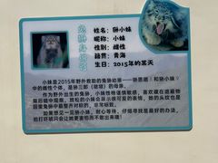 -青藏高原野生动物园