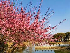 -白塘生态植物园
