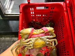 -一哥美食(总店)