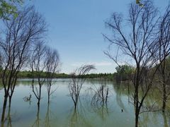 -绿堤公园