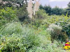 -北京植物园南门售票处