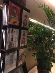 点击看大图 -白珂舞蹈教室