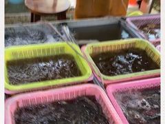 -大湾区中央湿地公园-十九涌