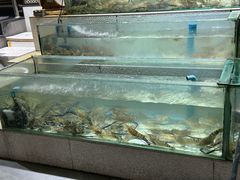 -光海鲜鱼翅餐厅(叻差拉披色路店)