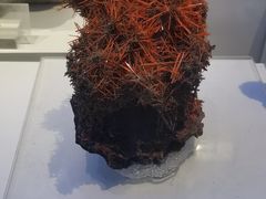 -重庆自然博物馆(新馆)