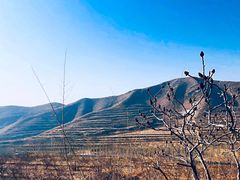 -中华三祖圣地黄帝城遗址文化旅游区