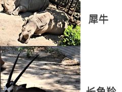-北京动物园
