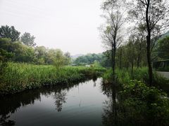 -西湖风景区-江洋畈生态公园