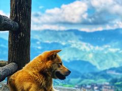 -龙脊梯田