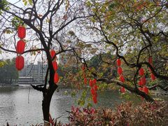 -荔湾湖公园