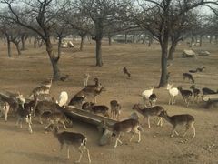 -西安秦岭野生动物园