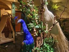 -泰谷玲抓龙筋SPA·泰式按摩(五一广场店)