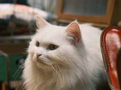 -小时光咖啡馆(开森度假森林店)