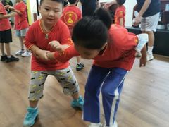 -温鉴良实用咏春拳