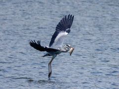 -百姓厨房(凤翔泥塑坊店)