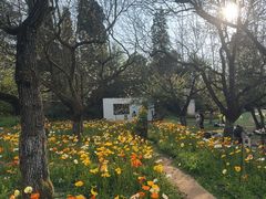 -名花谷生态庄园