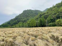 -贵阳市花溪国家城市湿地公园
