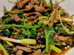 香菜炒牛肉-壹盏灯(蚂蚁工房店)