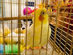 -潇湘·永州会馆(百子湾店)