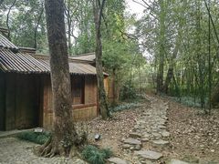 -兰亭风景区