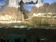 -成都浩海立方海洋公园