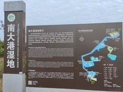 -南大港湿地风景区
