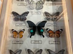 -浙江自然博物院(杭州馆)