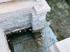 -芙蓉街-王府池子