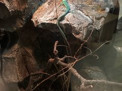 -朵云书院(滴水湖店)