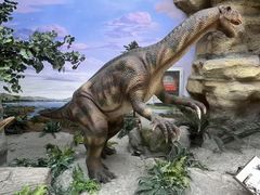 -国家自然博物馆