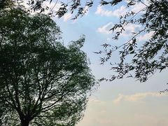 -丁香湖公园
