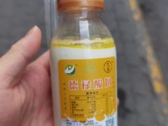 -德禄酸奶(莫家街店)