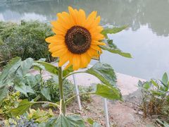 -小晴天咖啡馆